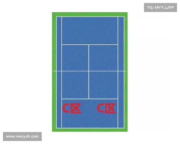 提高网球比赛二发得分率的策略与影响因素分析 提高网球比赛二发得分率的策略与影响因素分析