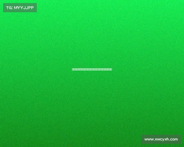 迪马济奥曝米兰已派人初步考察马克普维尔未来加盟可能性