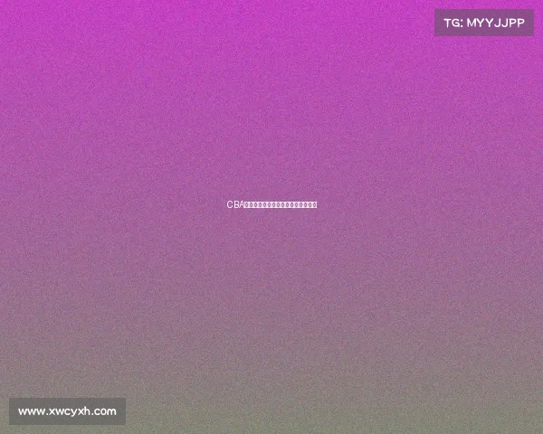 CBA退役球员的辉煌历程与未来发展探索